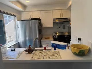 Photo #4: 219146248PS Listing 