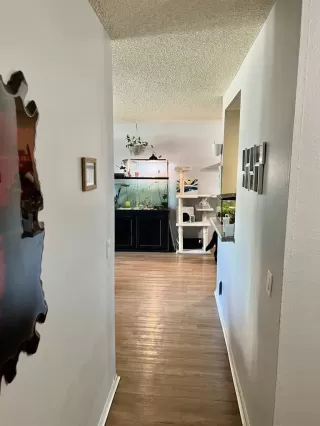 Photo #4: 230017655SD Listing 