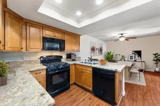 Photo #3: 250024832SD Listing 