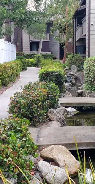 Photo #3: 250028491SD Listing 