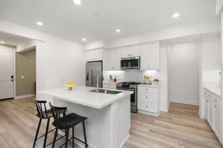 Photo #3: 250037943SD Listing 