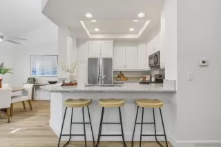 Photo #1: 250041509SD Listing 