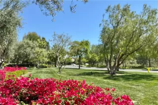 Photo #3: AR26081118 Listing 