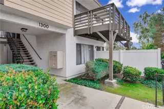 Photo #1: CV24013078 Listing 