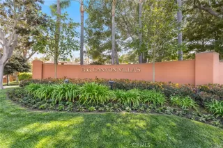 Photo #1: CV24061319 Listing 