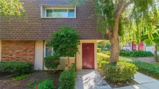 Photo #1: CV24200203 Listing 