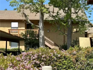 Photo #1: CV25072279 Listing 