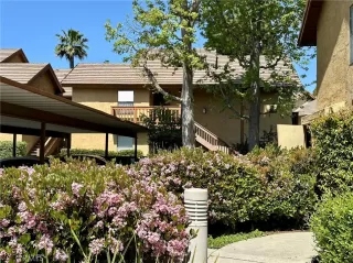 Photo #2: CV25072279 Listing 