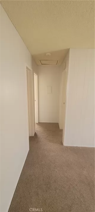 Photo #2: CV26000623 Listing 