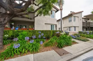 Photo #1: CV26107362 Listing