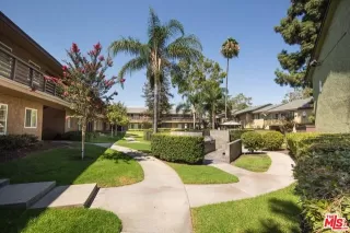 Photo #3: DW24005375 Listing 