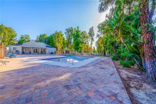 Photo #6: DW25130060 Listing 