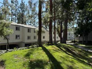 Photo #4: DW25250524 Listing 