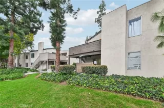 Photo #1: DW25265601 Listing 