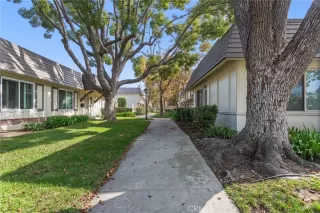 Photo #2: GD25257065 Listing 