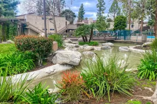 Photo #4: IG23028237 Listing 