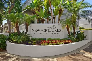 Photo #1: IG23178916 Listing 