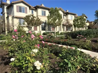 Photo #1: IG23206533 Listing