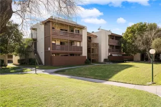 Photo #1: IG23212381 Listing