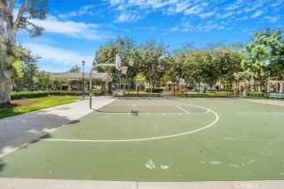 Photo #4: IG24195338 Listing 