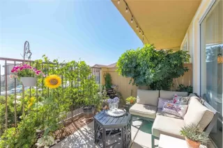 Photo #6: IG24248117 Listing