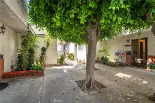 Photo #1: IG25149438 Listing 