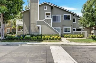 Photo #1: IG25160666 Listing 