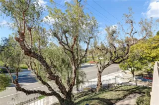 Photo #3: IG26002576 Listing 