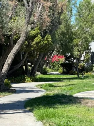 Photo #2: IV23153286 Listing 