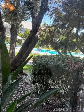 Photo #4: IV23153286 Listing 