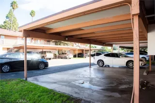 Photo #1: IV23189492 Listing