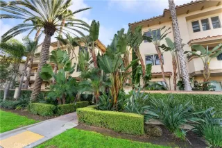 Photo #1: IV23221383 Listing 