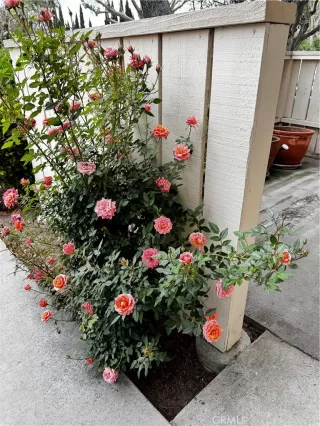 Photo #1: IV25091677 Listing 