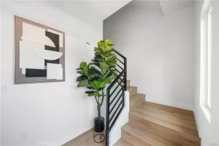 Photo #1: IV25130826 Listing 