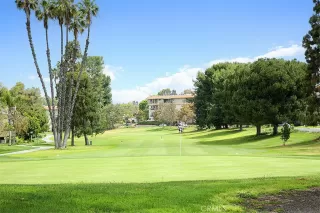 Photo #3: LG23085079 Listing