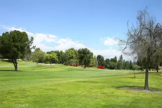 Photo #4: LG23085079 Listing