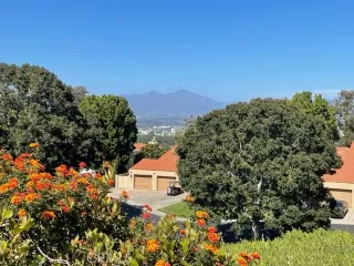 Photo #2: LG23109277 Listing