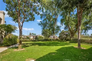 Photo #4: LG23120658 Listing 