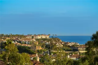 Photo #3: LG23205392 Listing