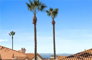 Photo #2: LG24171017 Listing 