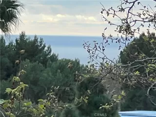 Photo #2: LG25068474 Listing 