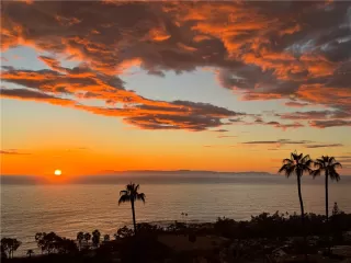 Photo #3: LG25069082 Listing 