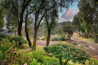 Photo #1: LG25120776 Listing