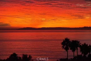 Photo #6: LG25224234 Listing 