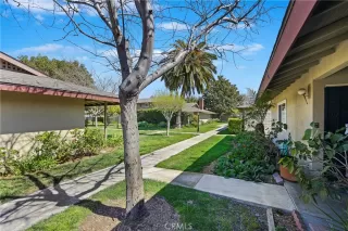 Photo #1: MB23044247 Listing 