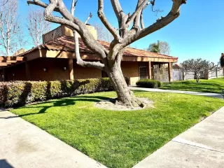 Photo #1: ML81924335 Listing 