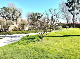 Photo #2: ML81924335 Listing 