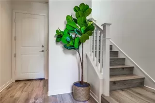 Photo #1: NP22255773 Listing 