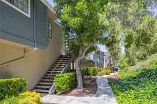 Photo #1: NP23083121 Listing 