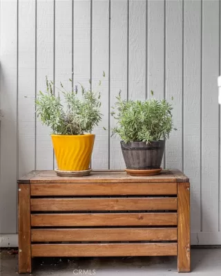 Photo #2: NP23088024 Listing 